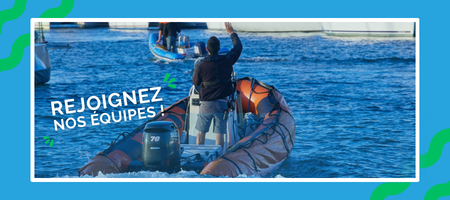 Offre d'emploi Compagnie des Ports du Morbihan